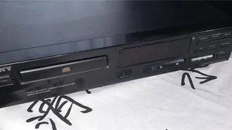 DCP-313