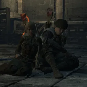 Adios Dragons Dogma Online