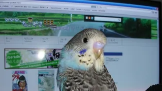Gominola ya es todo un machote!