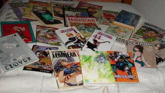 Con mangas y a lo loco!