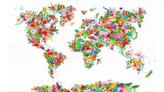 Plantas y mapas