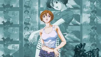 Sakura Tsuushin 165 – Traducción al Español