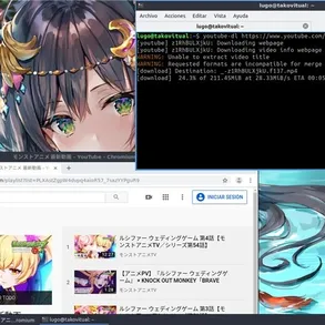 Como descargar videos de YouTube