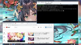 Como descargar videos de YouTube