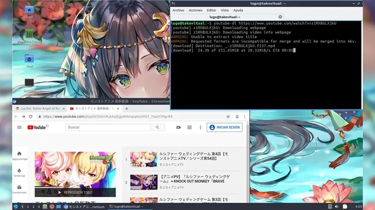 Como descargar videos de YouTube
